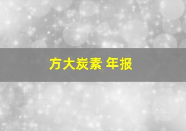 方大炭素 年报